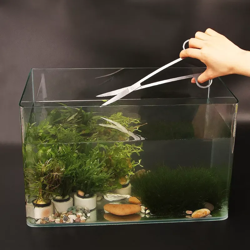 Aquarium Fish Popular - Perlengkapan Akuarium Populer, Aksesoris Akuarium, Perlengkapan