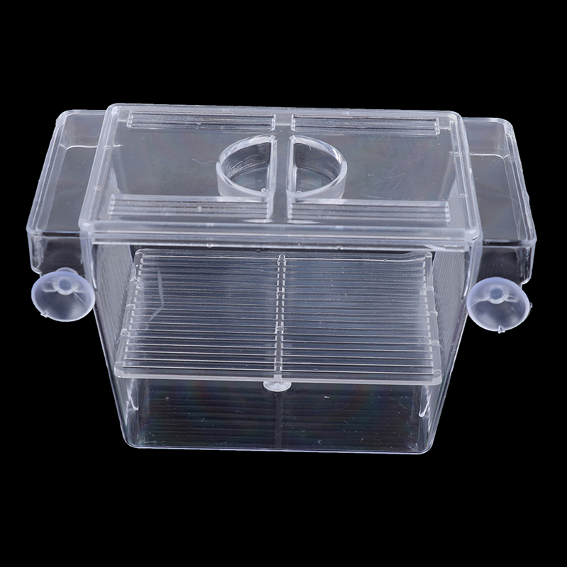 Aquarium Fish Jar - Akuarium tangki ikan Guppy tempat penangkaran