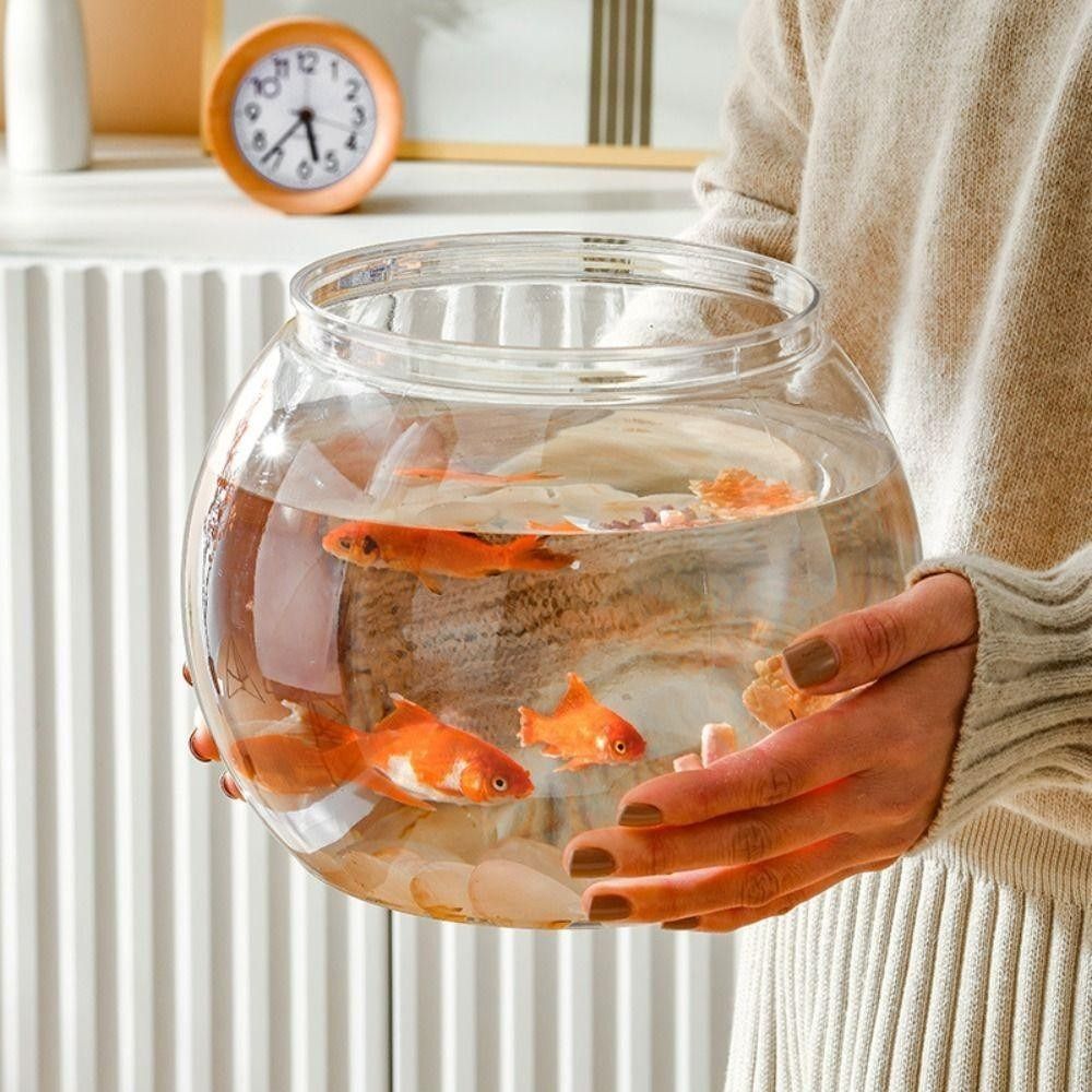 Aquarium Fish Jar - Akuarium Transparan Baru Bentuk Bulat Anti
