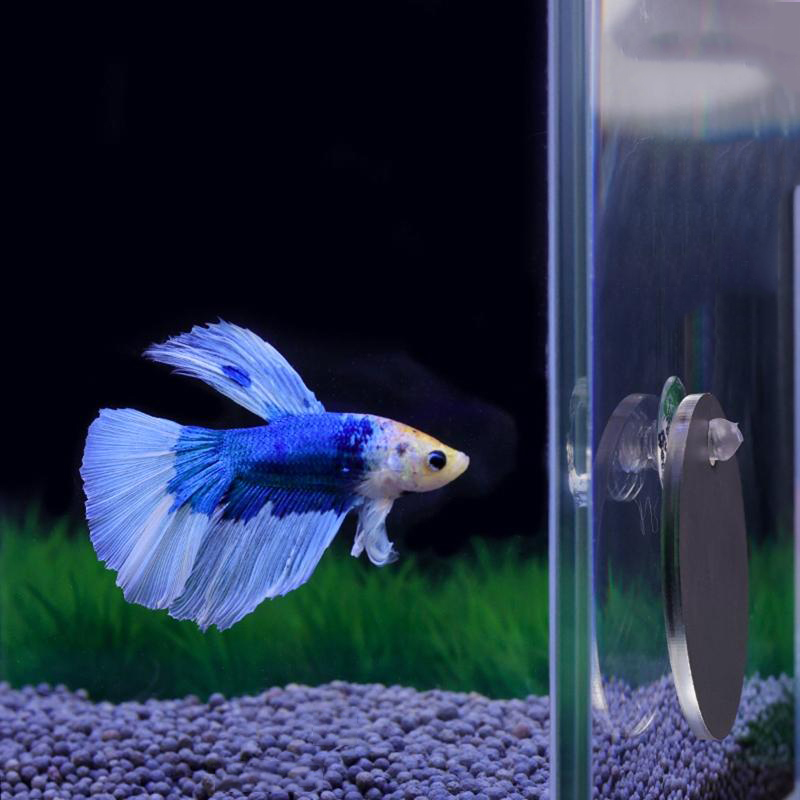 Aquarium Fish Escape - Cermin Cupang Akuarium Tangki Ikan Cermin