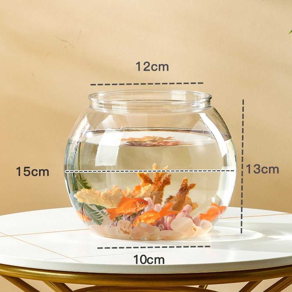 Akuarium Meja Transparan Bulat - Aquarium Fish Jar ulasan dan harga