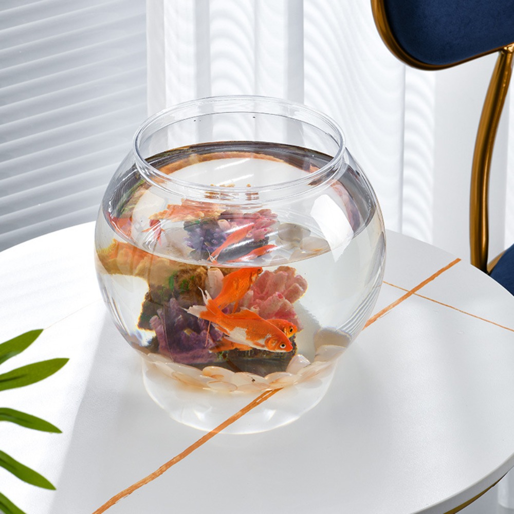 Akuarium Meja Transparan Bulat - Aquarium Fish Jar ulasan dan harga