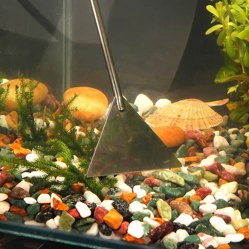 Perlengkapan Akuarium Populer, - Aquarium Fish Popular ulasan dan harga