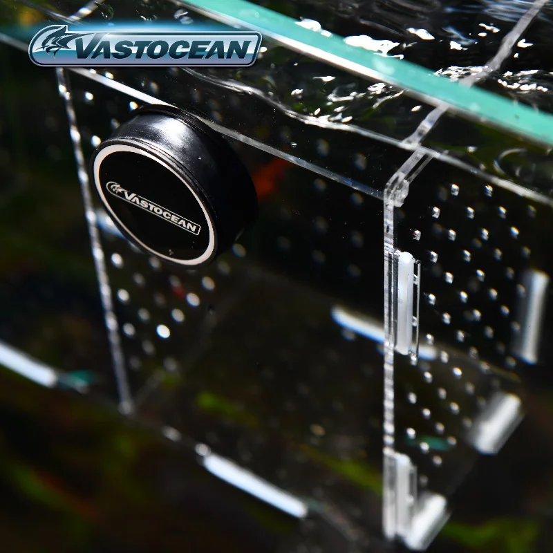 Tangki Ikan VASTOCEAN Kotak Is - Aquarium Fish Jar ulasan dan harga