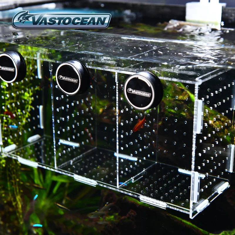Tangki Ikan VASTOCEAN Kotak Is - Aquarium Fish Jar ulasan dan harga