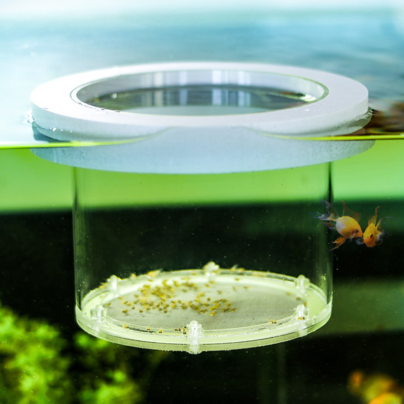 Kotak Isolasi Pengembangbiakan - Aquarium Fish Jar ulasan dan harga