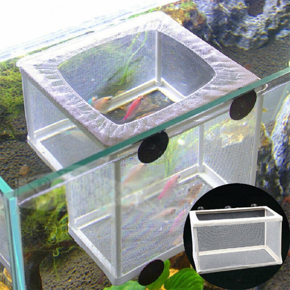 Kotak Pembiakan Ikan Akuarium  - Aquarium Fish Jar ulasan dan harga
