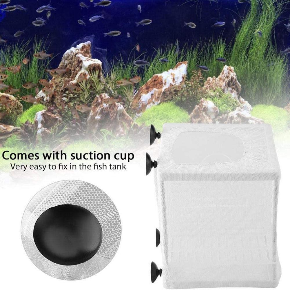 Kotak Pembiakan Ikan Akuarium  - Aquarium Fish Jar ulasan dan harga
