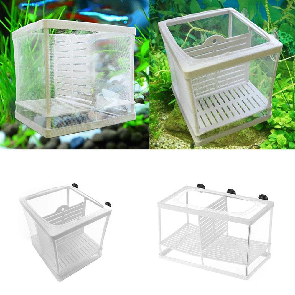 Kotak Pembiakan Ikan Akuarium  - Aquarium Fish Jar ulasan dan harga