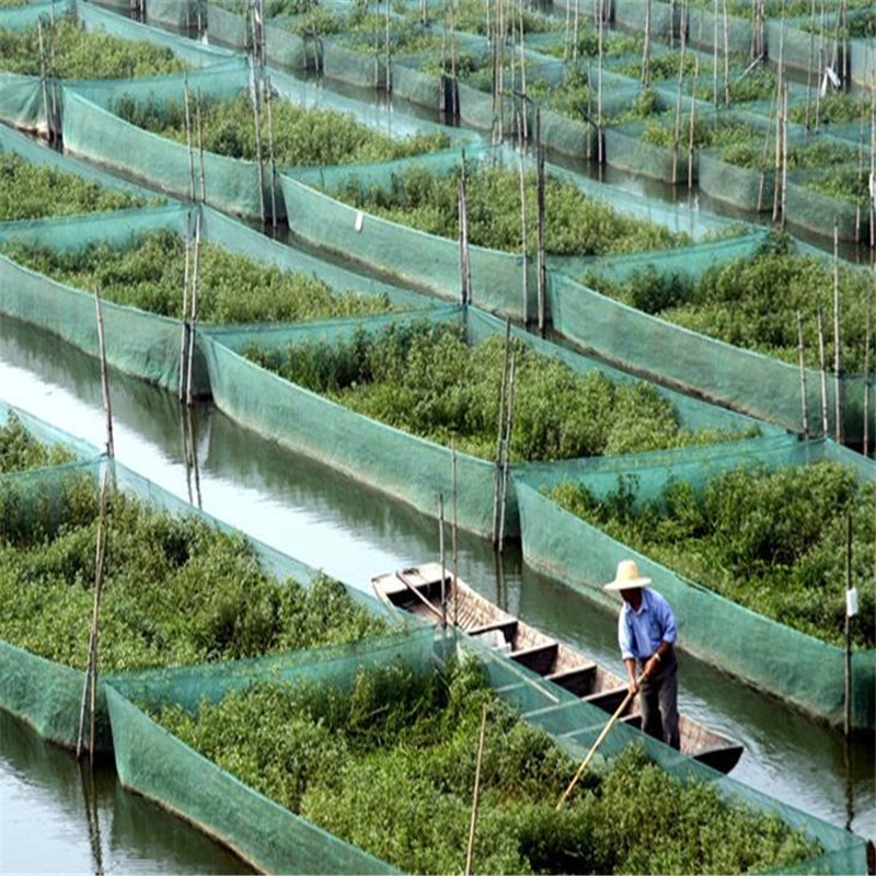 Jaring Anti Lepas Putih untuk  - Aquarium Fish Escape ulasan dan harga