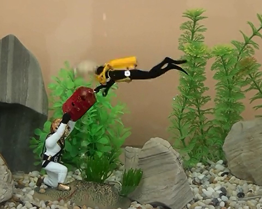 Dekorasi Akuarium Panas Dekora - Aquarium Fish Gif ulasan dan harga