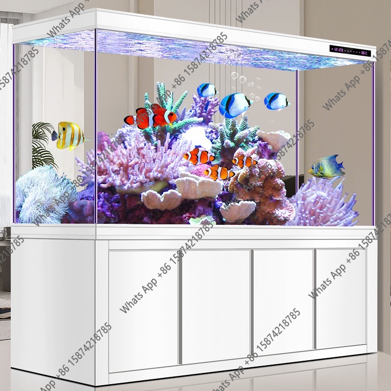 Akuarium X Arowana Kaca Ultra  - Xchange Aquarium Fish ulasan dan harga
