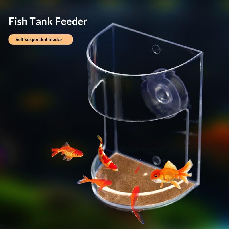 1/3/5Pcs Tempat Makan Ikan Men - Aquarium Fish Popular ulasan dan harga