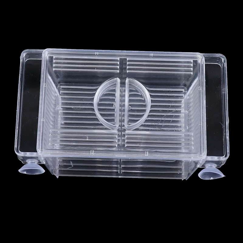 Akuarium tangki ikan Guppy tem - Aquarium Fish Jar ulasan dan harga