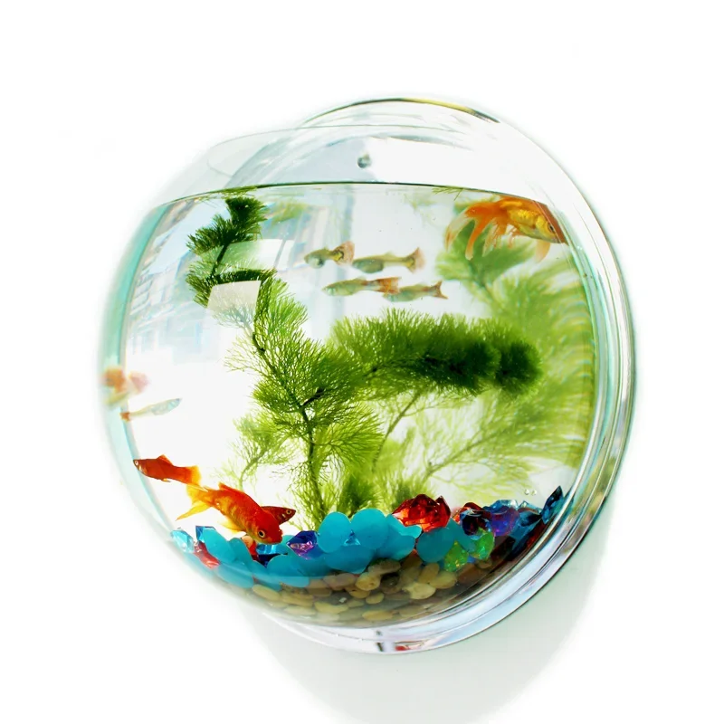 Pinsjar Akrilik Mangkuk Ikan H - Aquarium Fish Jar ulasan dan harga