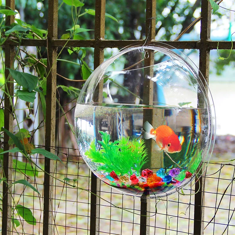 Pinsjar Akrilik Mangkuk Ikan H - Aquarium Fish Jar ulasan dan harga