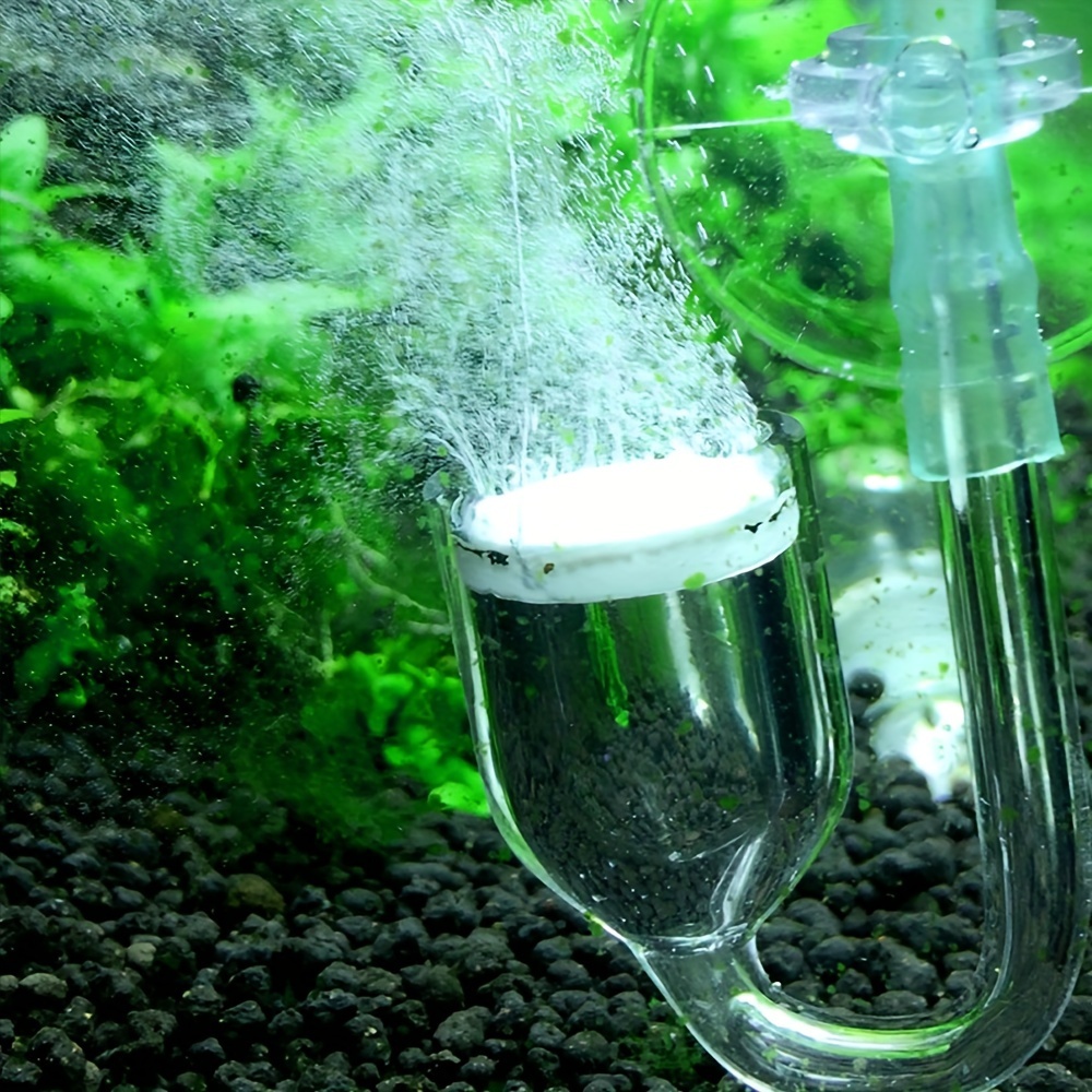 Aquarium kaca CO2 Atomizer Dif - Aquarium Fish And Supplies ulasan dan harga