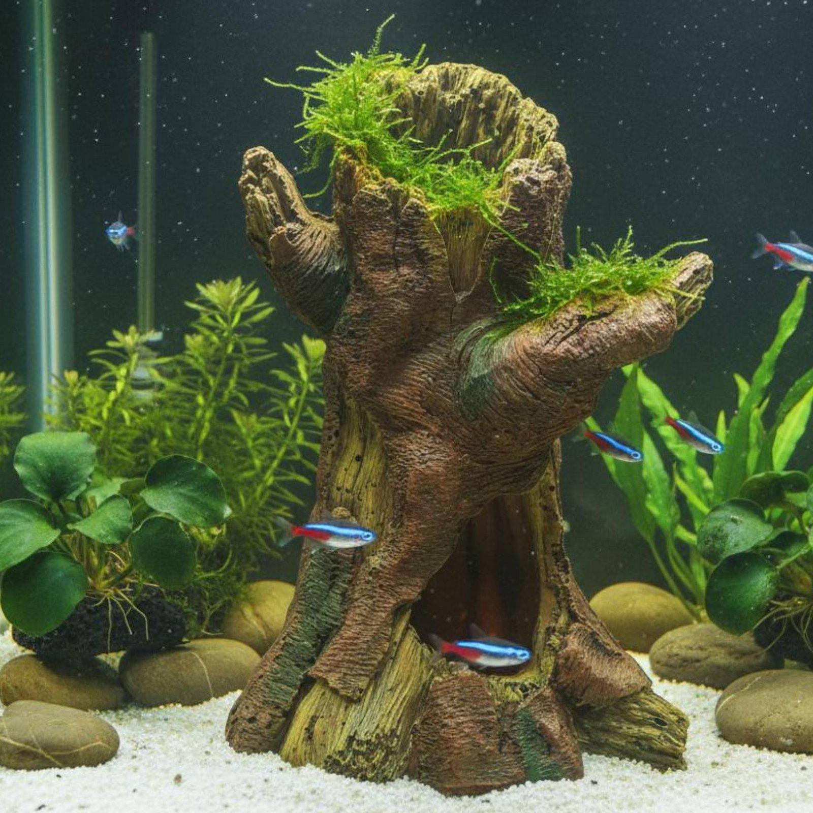 Dekorasi Lanskap Akuarium, Dek - Aquarium Fish In ulasan dan harga