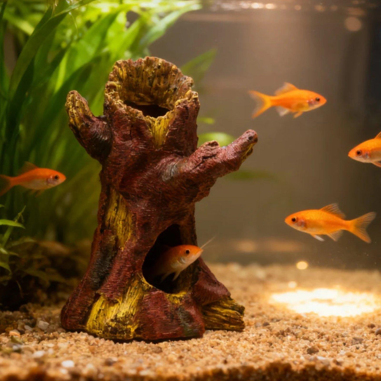 Dekorasi Lanskap Akuarium, Dek - Aquarium Fish In ulasan dan harga