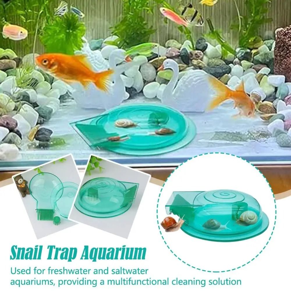 Perangkap Siput Akuarium Air T - Aquarium Fish Escape ulasan dan harga