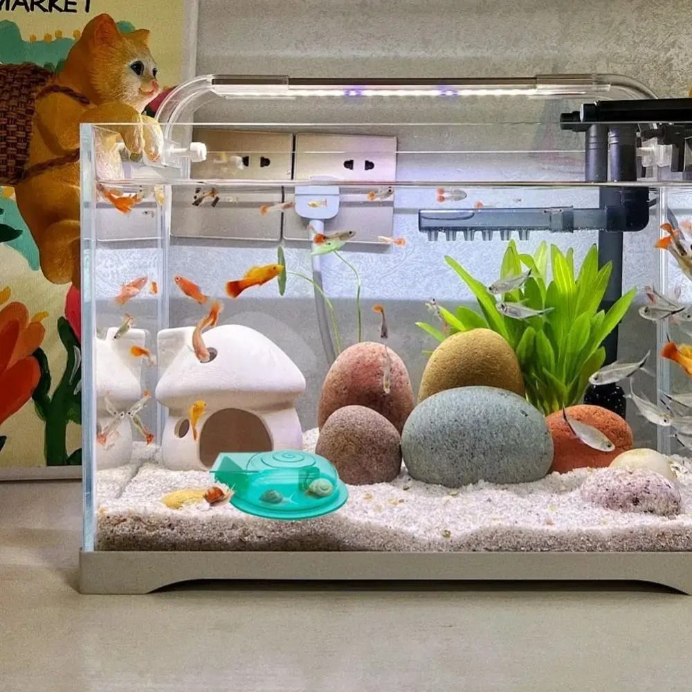 Perangkap Siput Akuarium Air T - Aquarium Fish Escape ulasan dan harga
