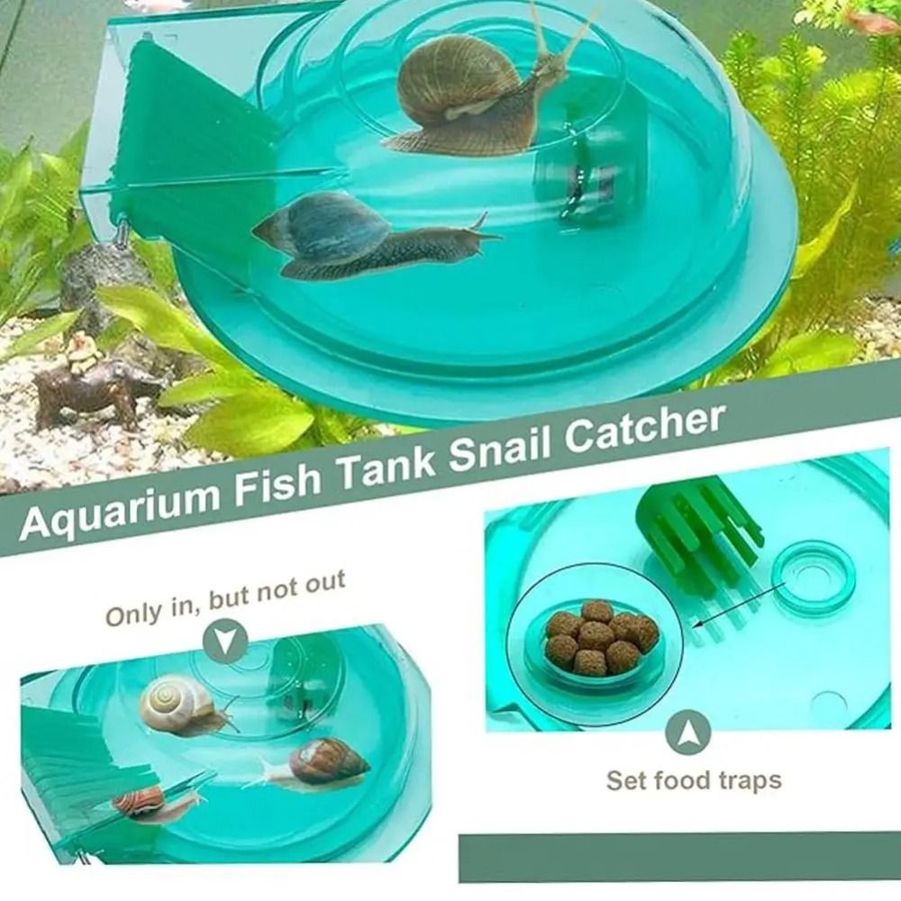 Perangkap Siput Akuarium Air T - Aquarium Fish Escape ulasan dan harga