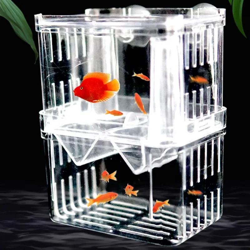 Kotak Isolasi Pembiakan Ikan S - Xl Aquarium Fish ulasan dan harga
