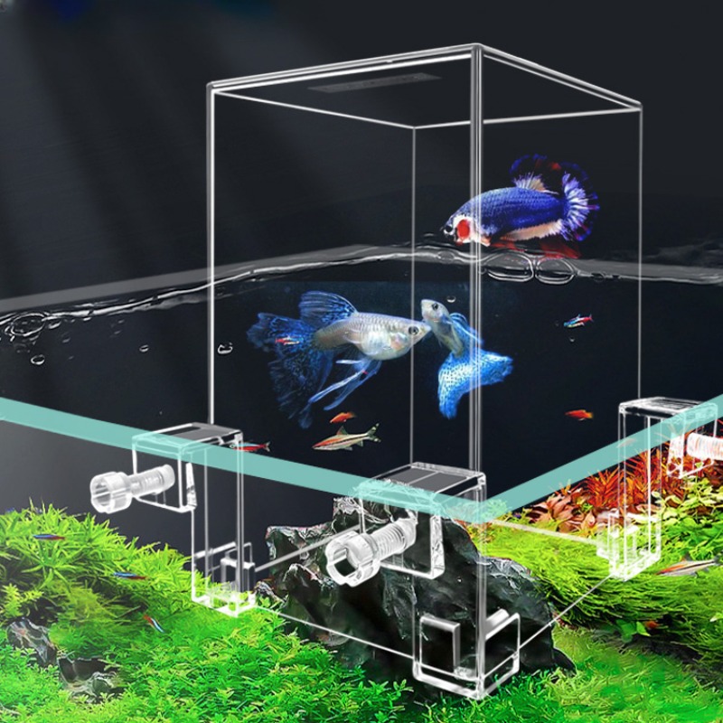 Tangki akuarium kreatif, tangk - Aquarium Fish Jar ulasan dan harga
