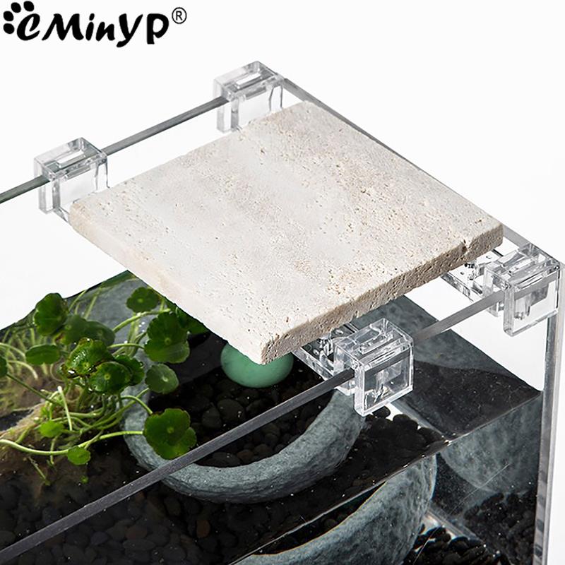 4 buah klip akrilik tangki ika - Aquarium Fish And Supplies ulasan dan harga