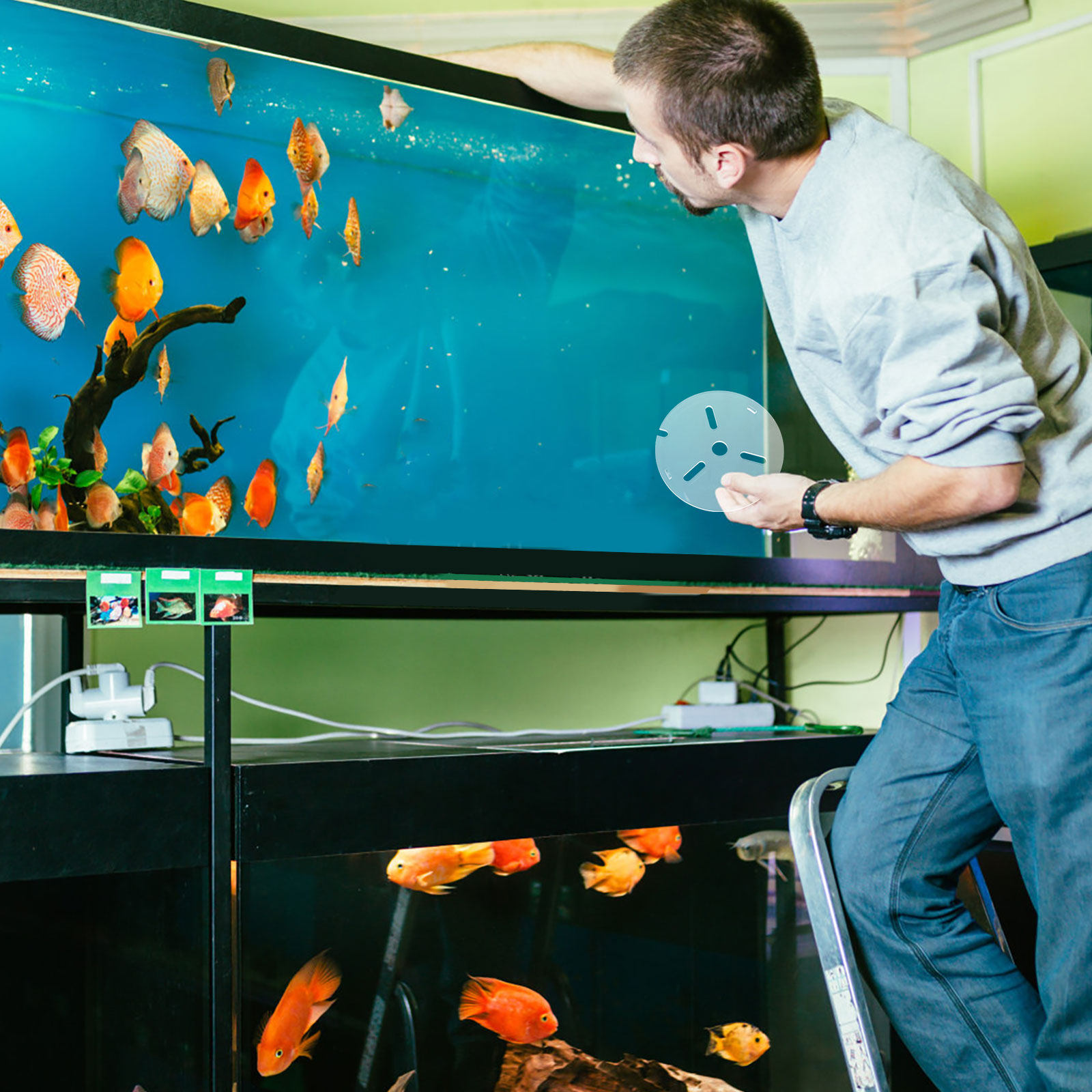 Tutup Akuarium Anti Lompat Akr - Aquarium Fish Escape ulasan dan harga