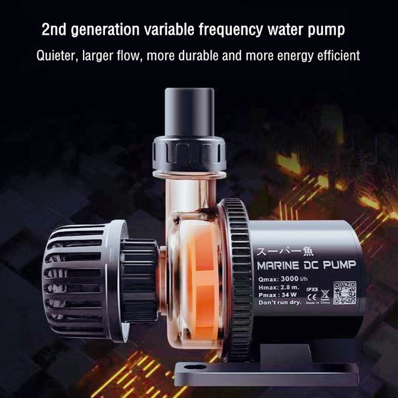 Harga Grosir Pabrik Kustom Pom - Aquarium Fish High Price ulasan dan harga