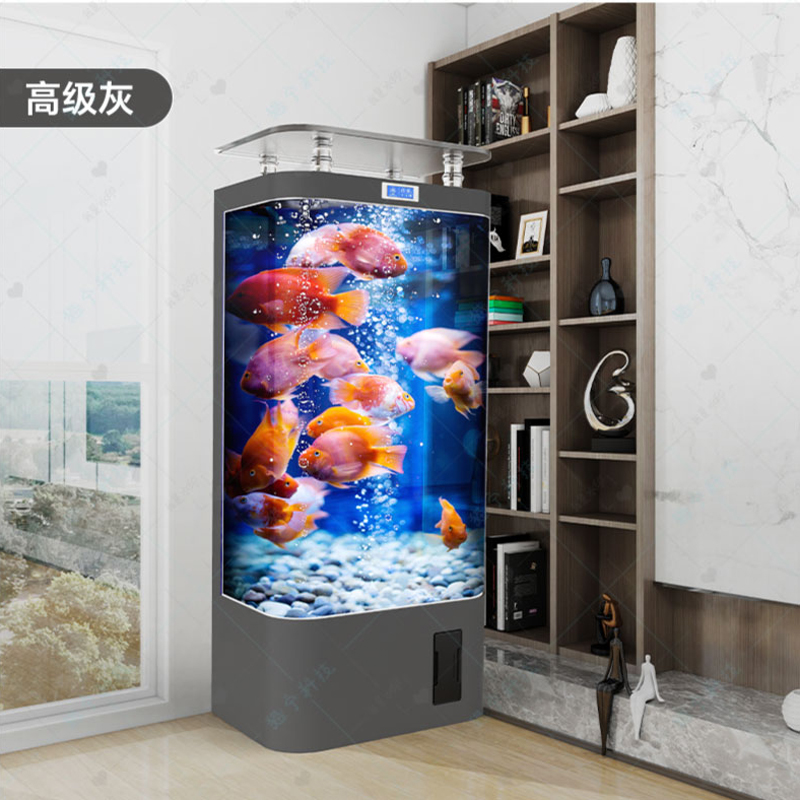 Akuarium ikan mas pintar, ruan - Aquarium Xl ulasan dan harga