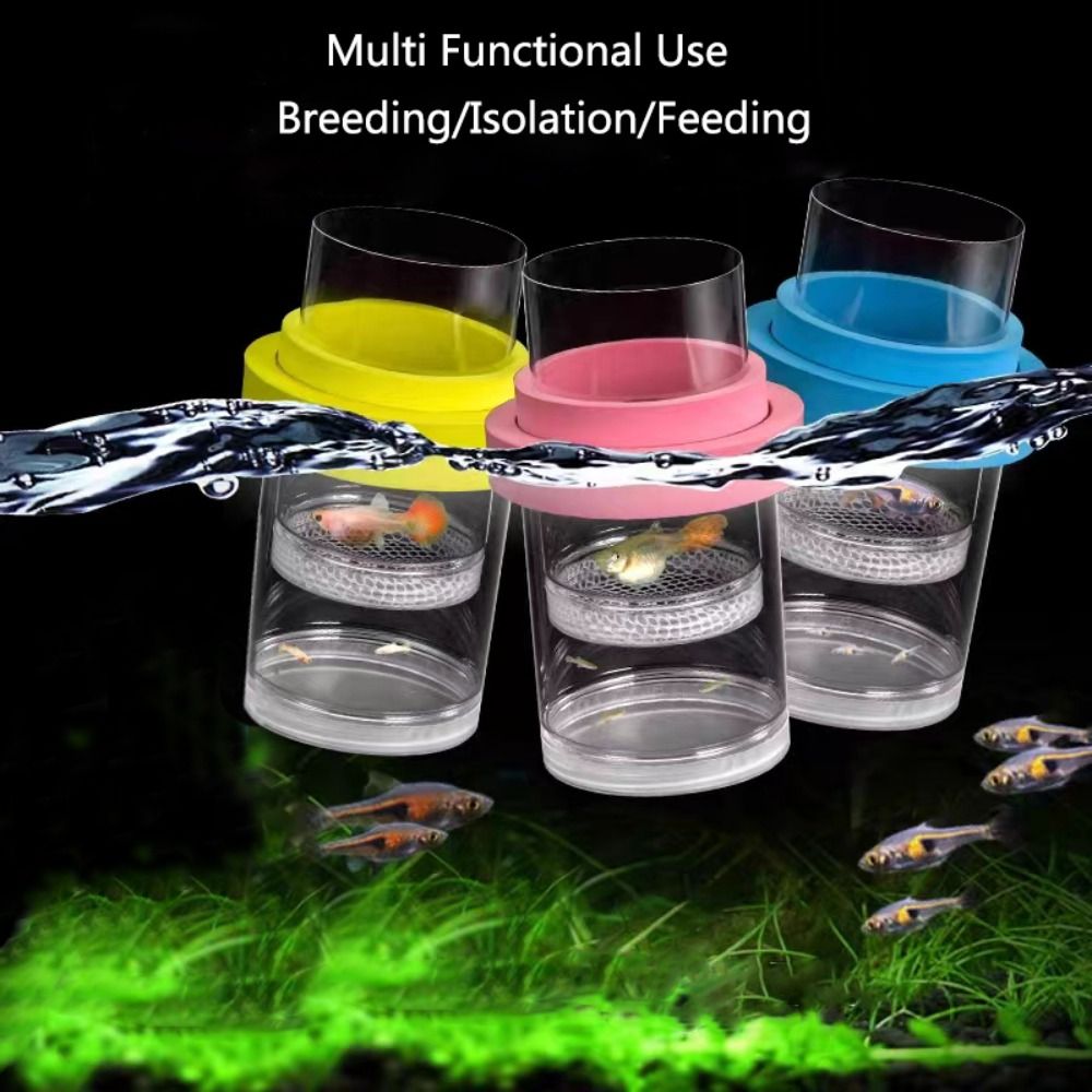 Kotak Isolasi Pembiakan Ikan M - Aquarium Fish Jar ulasan dan harga