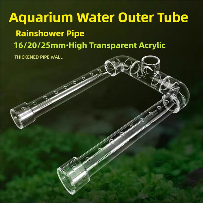 【HARGA-TURUN!】Pipa Outlet Panc - Aquarium Fish High Price ulasan dan harga