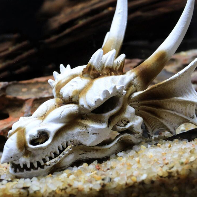 Akuarium Tangki Ikan Dinosauru - Aquarium Fish Popular ulasan dan harga
