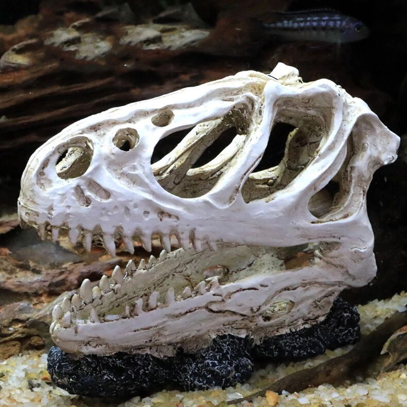 Akuarium Tangki Ikan Dinosauru - Aquarium Fish Popular ulasan dan harga