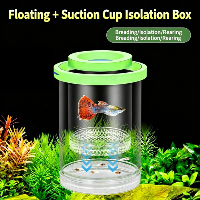 Kotak Penetasan Akuarium Trans - Aquarium Fish Jar ulasan dan harga