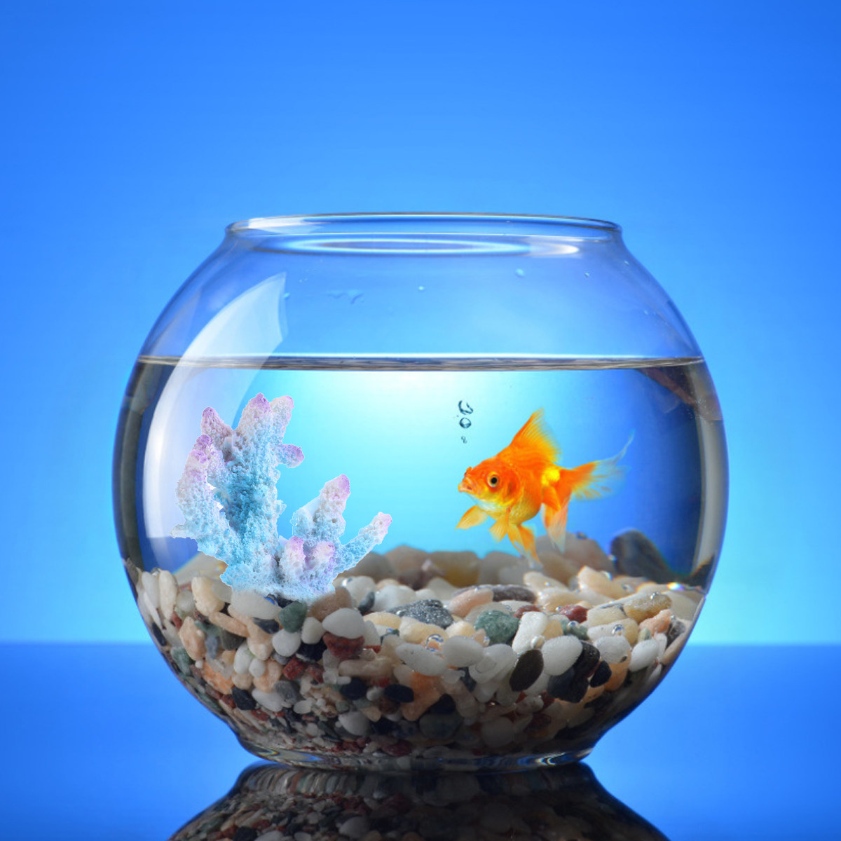 Xl-S1718 Hiasan Akuarium Karan - Xl Aquarium Fish ulasan dan harga