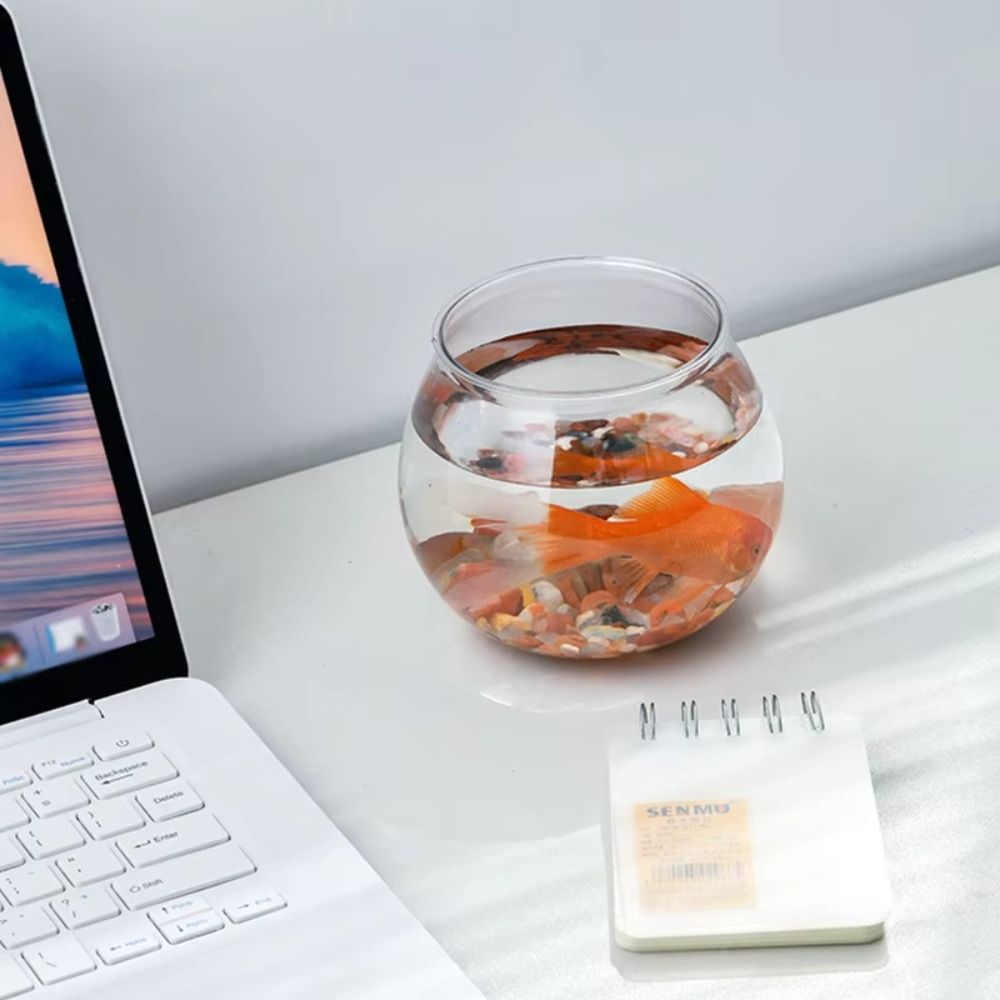Akuarium Transparan Baru Bentu - Aquarium Fish Jar ulasan dan harga
