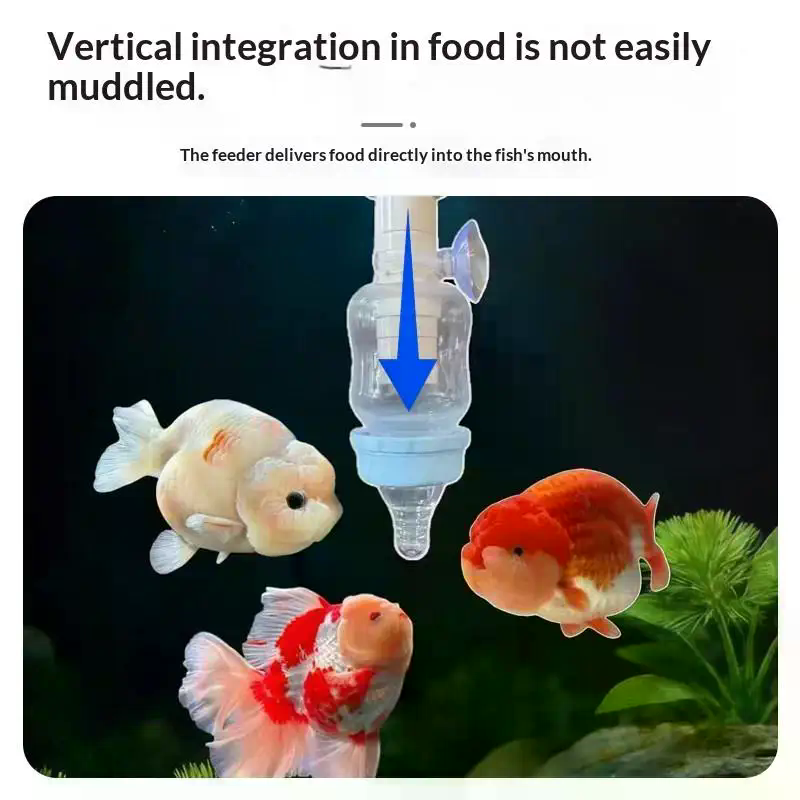 Alat Pemberi Makan Ikan Presis - Aquarium Fish Popular ulasan dan harga