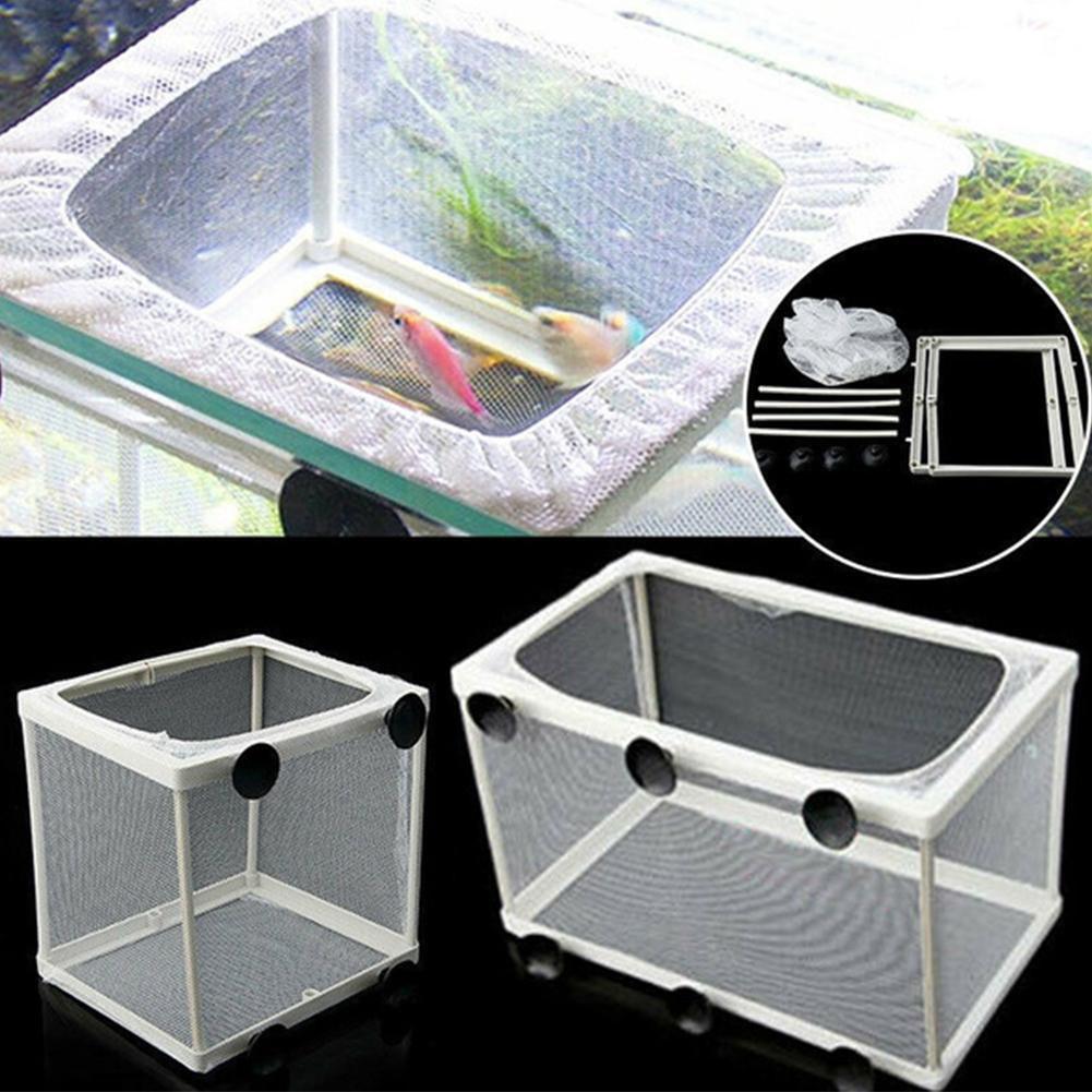 Kotak Isolasi Hatchery untuk A - Aquarium Fish Jar ulasan dan harga