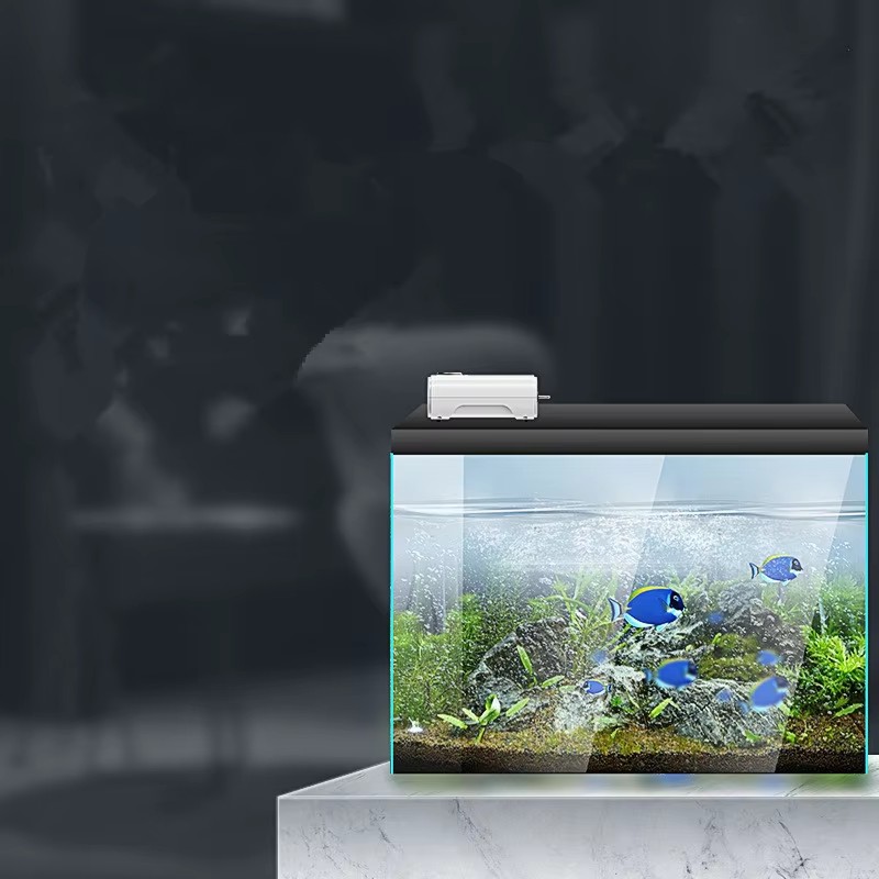 220V/110V 3W/8W/12W Pompa Udar - Xl Aquarium Fish ulasan dan harga