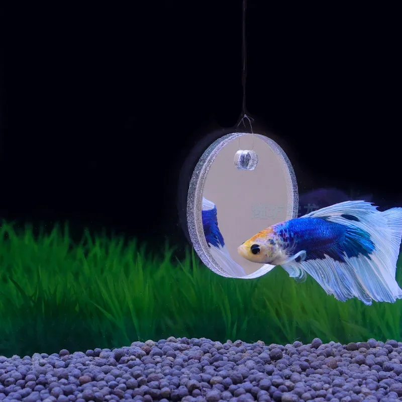 Cermin Cupang Akuarium Tangki  - Aquarium Fish Escape ulasan dan harga