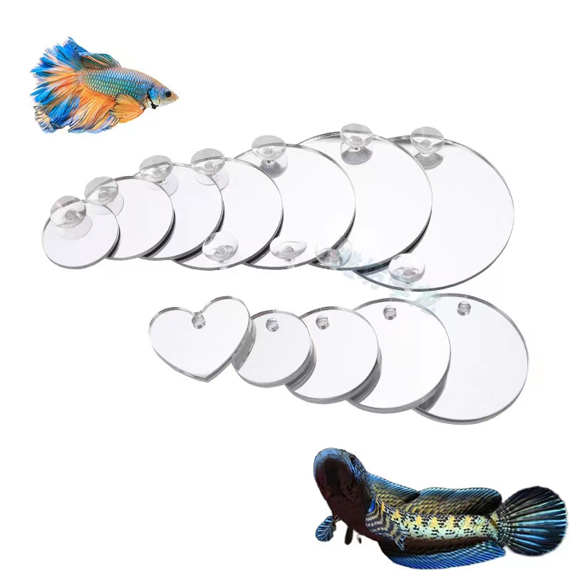 Cermin Cupang Akuarium Tangki  - Aquarium Fish Escape ulasan dan harga