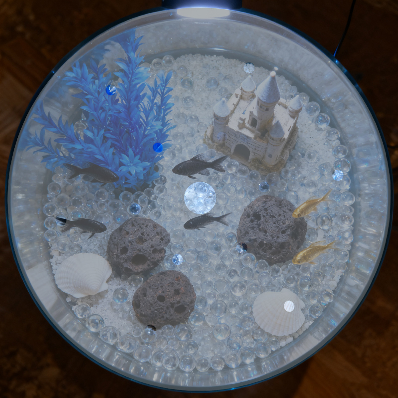 Penutup Akuarium Akrilik Bulat - Aquarium Fish Jar ulasan dan harga